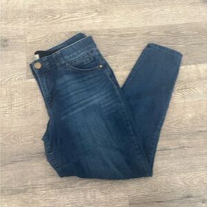 Democracy an tech skinny jean jegging size 14